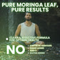 Moringa Capsules – 90 Pure Moringa Powder Capsules Packed with Nutrients for Immune Support, and Daily Health